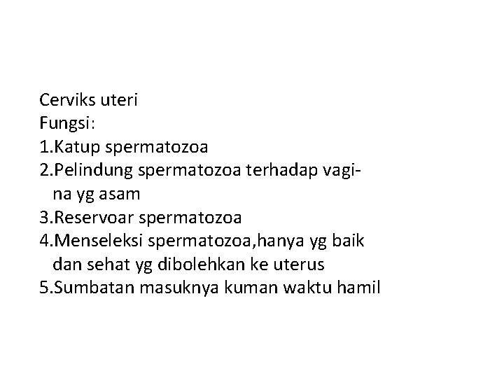 Cerviks uteri Fungsi: 1. Katup spermatozoa 2. Pelindung spermatozoa terhadap vagina yg asam 3.