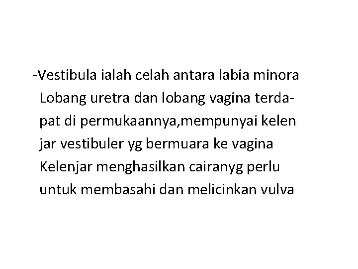 -Vestibula ialah celah antara labia minora Lobang uretra dan lobang vagina terdapat di permukaannya,