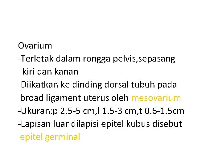 Ovarium -Terletak dalam rongga pelvis, sepasang kiri dan kanan -Diikatkan ke dinding dorsal tubuh