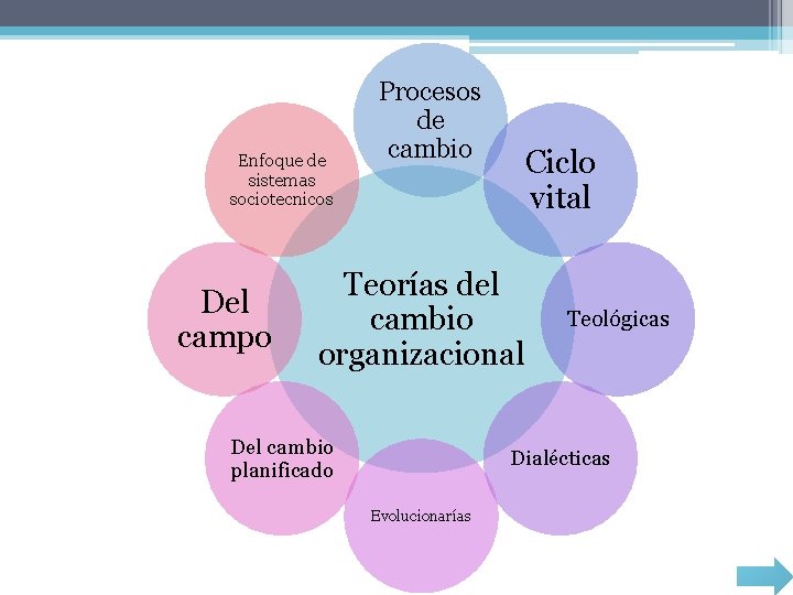 Enfoque de sistemas sociotecnicos Del campo Procesos de cambio Ciclo vital Teorías del cambio