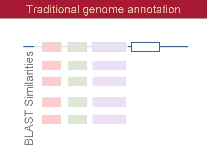 BLAST Similarities Traditional genome annotation 