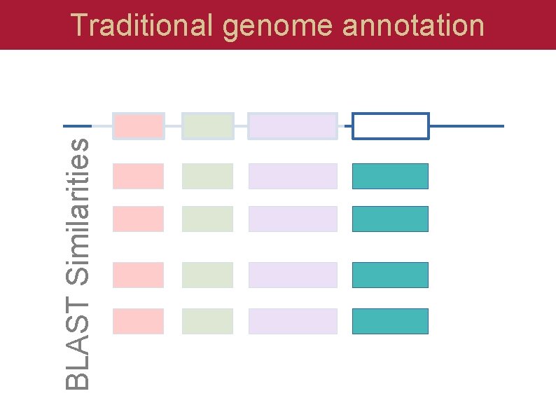 BLAST Similarities Traditional genome annotation 