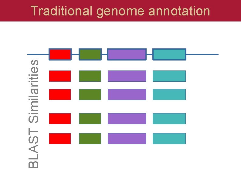 BLAST Similarities Traditional genome annotation 