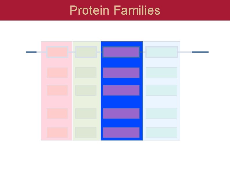 Protein Families 