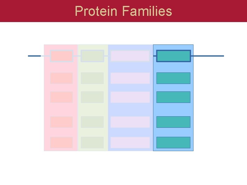 Protein Families 