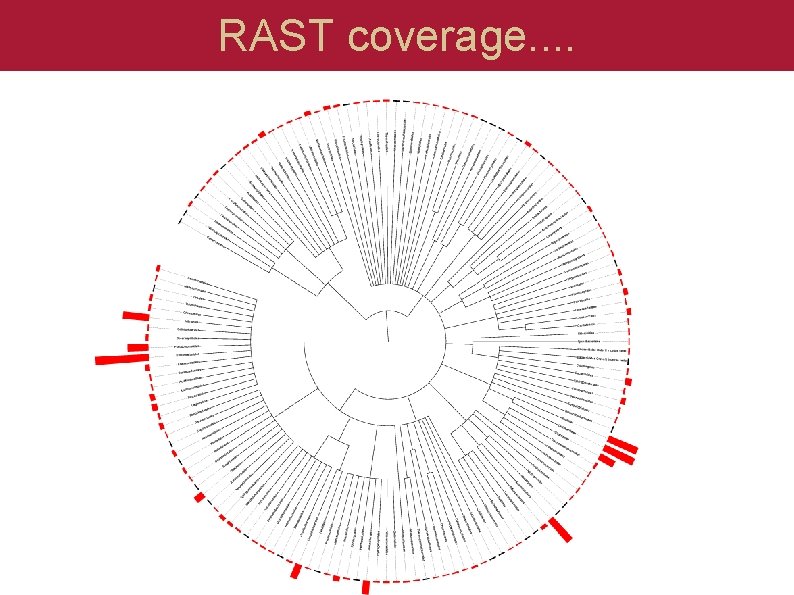 RAST coverage. . 