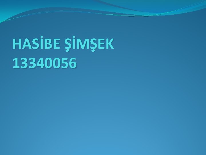 HASİBE ŞİMŞEK 13340056 