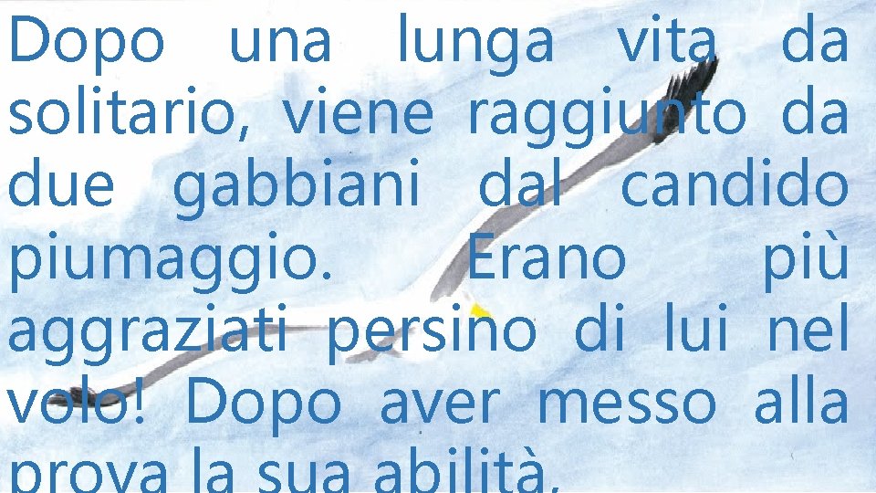 Dopo una lunga vita da solitario, viene raggiunto da due gabbiani dal candido piumaggio.