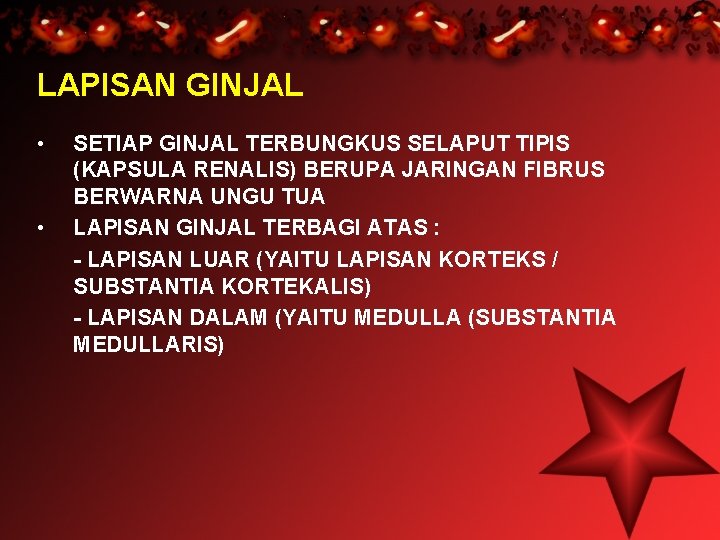 LAPISAN GINJAL • • SETIAP GINJAL TERBUNGKUS SELAPUT TIPIS (KAPSULA RENALIS) BERUPA JARINGAN FIBRUS