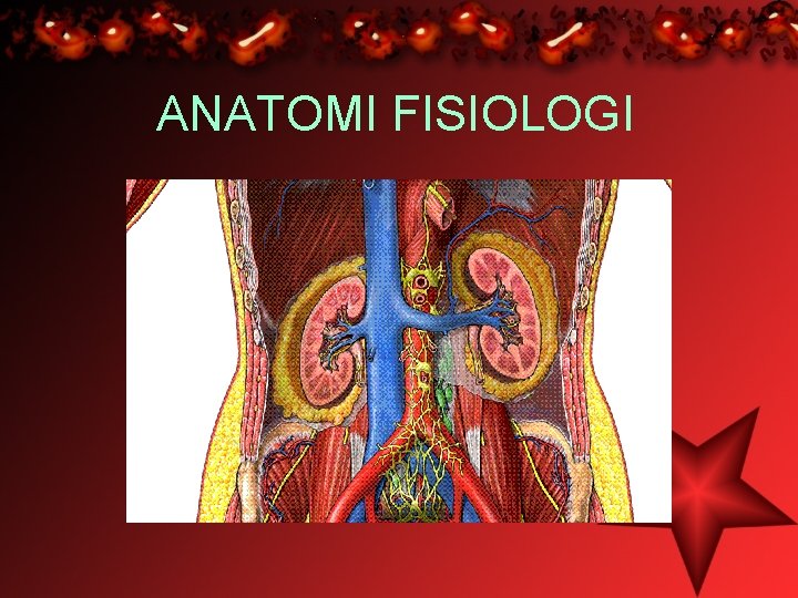ANATOMI FISIOLOGI 
