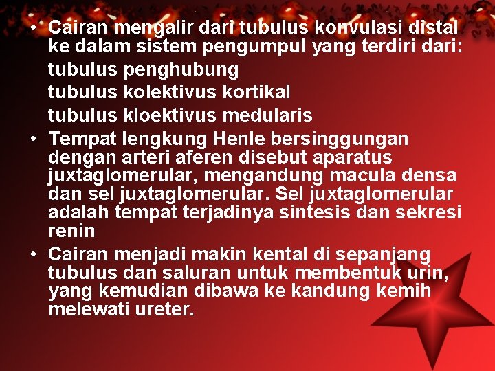  • Cairan mengalir dari tubulus konvulasi distal ke dalam sistem pengumpul yang terdiri