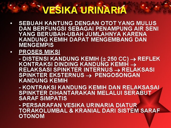 VESIKA URINARIA • • SEBUAH KANTUNG DENGAN OTOT YANG MULUS DAN BERFUNGSI SEBAGAI PENAMPUNG