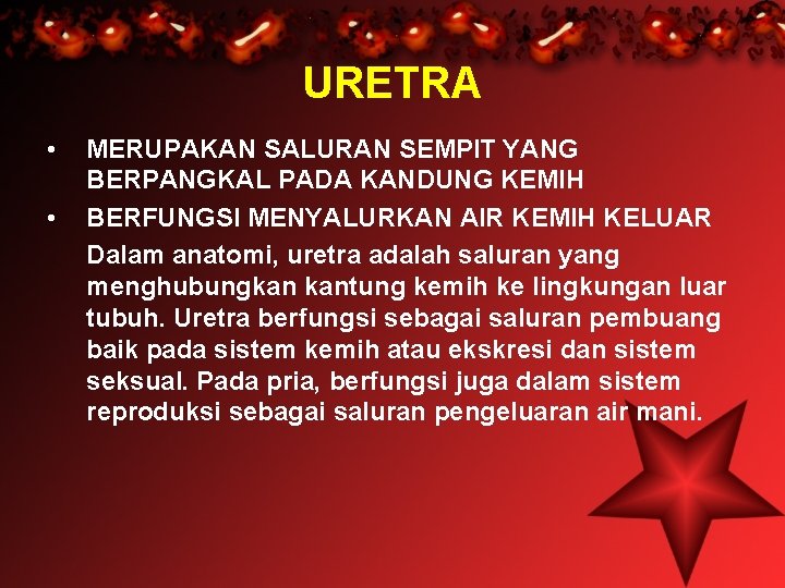 URETRA • • MERUPAKAN SALURAN SEMPIT YANG BERPANGKAL PADA KANDUNG KEMIH BERFUNGSI MENYALURKAN AIR