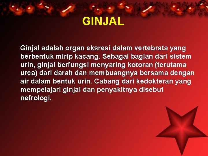 GINJAL Ginjal adalah organ eksresi dalam vertebrata yang berbentuk mirip kacang. Sebagai bagian dari