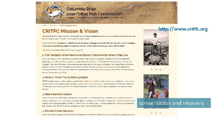 http: //www. critfc. org conservation and recovery 