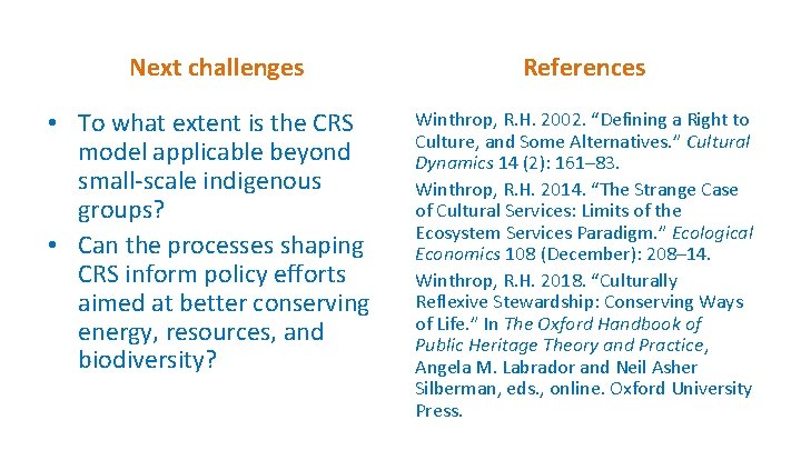 Next challenges References • To what extent is the CRS model applicable beyond small-scale