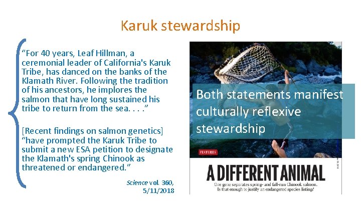 Karuk stewardship “For 40 years, Leaf Hillman, a ceremonial leader of California's Karuk Tribe,