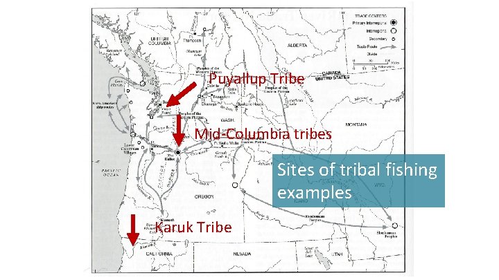 Puyallup Tribe Mid-Columbia tribes Sites of tribal fishing examples Karuk Tribe 