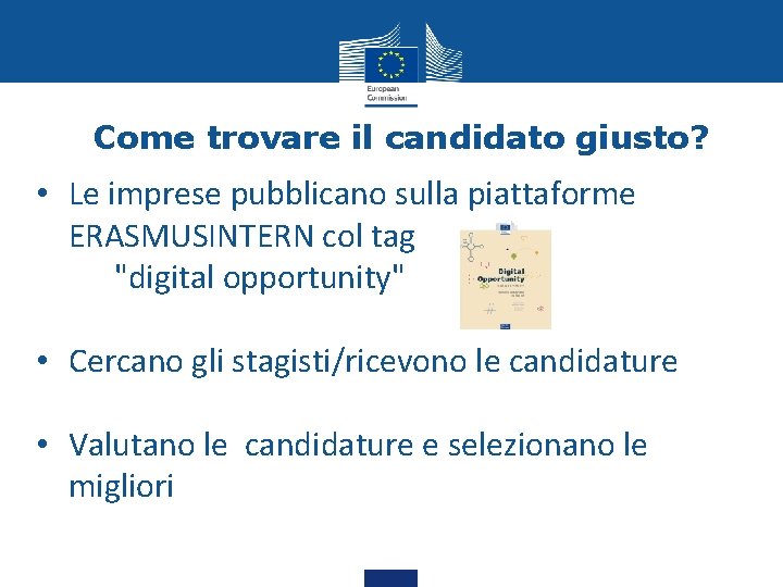 Come trovare il candidato giusto? • Le imprese pubblicano sulla piattaforme ERASMUSINTERN col tag