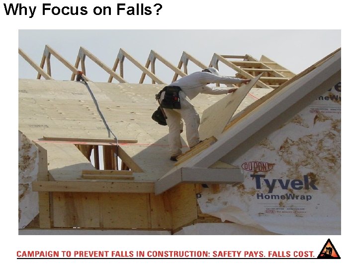 Why Focus on Falls? 