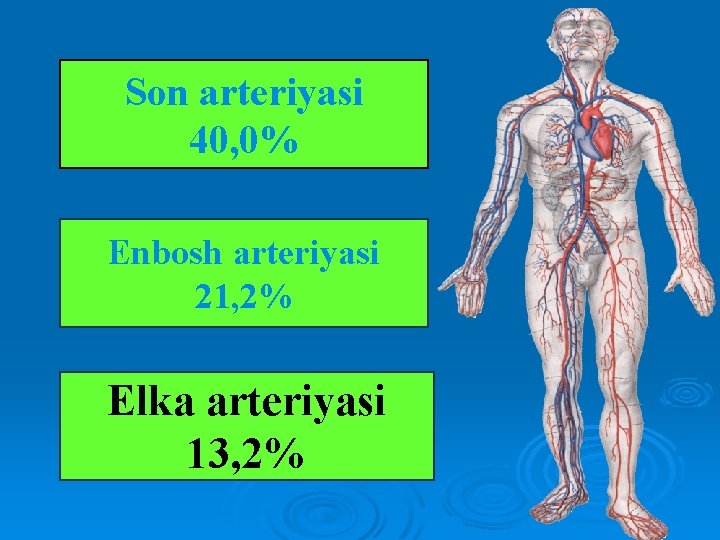 Son arteriyasi 40, 0% Enbosh arteriyasi 21, 2% Elka arteriyasi 13, 2% 