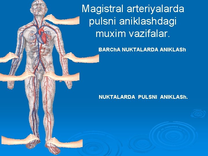 Magistral arteriyalarda pulsni aniklashdagi muxim vazifalar. BARCh. A NUKTALARDA ANIKLASh NUKTALARDA PULSNI ANIKLASh. 