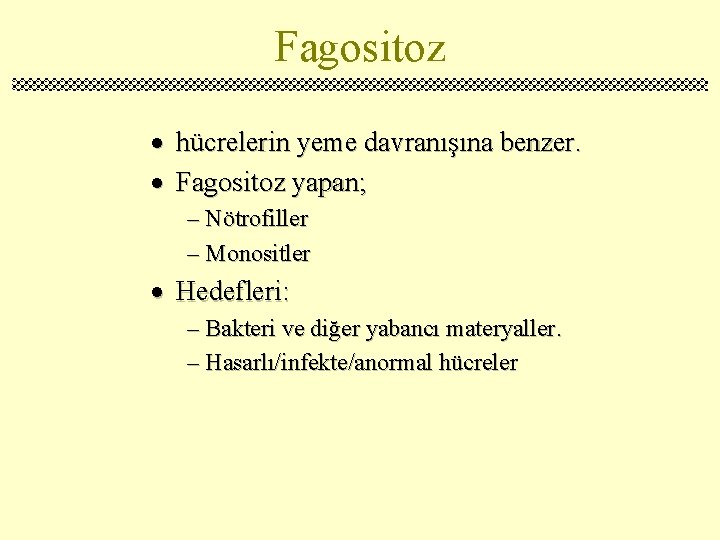 Fagositoz · hücrelerin yeme davranışına benzer. · Fagositoz yapan; – Nötrofiller – Monositler ·