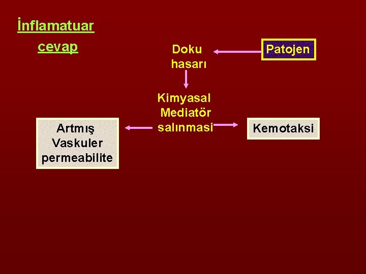 İnflamatuar cevap Artmış Vaskuler permeabilite Doku hasarı Kimyasal Mediatör salınmasi Patojen Kemotaksi 