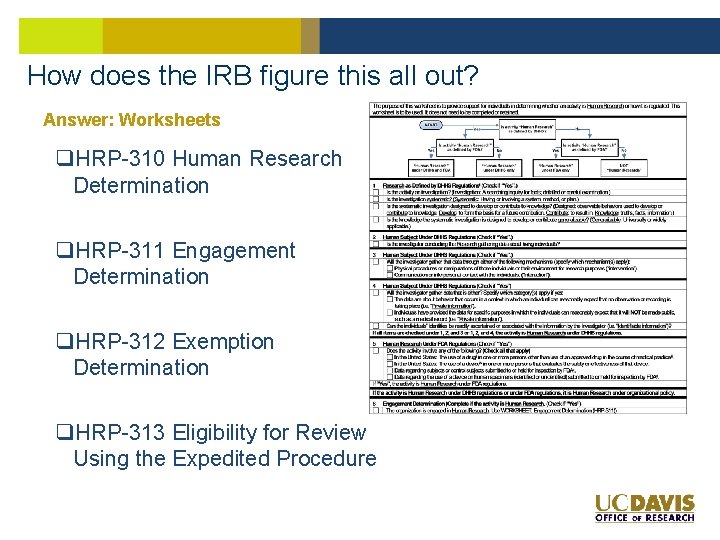 How does the IRB figure this all out? Answer: Worksheets q. HRP-310 Human Research