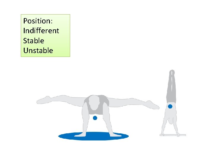 Position: Indifferent Stable Unstable 