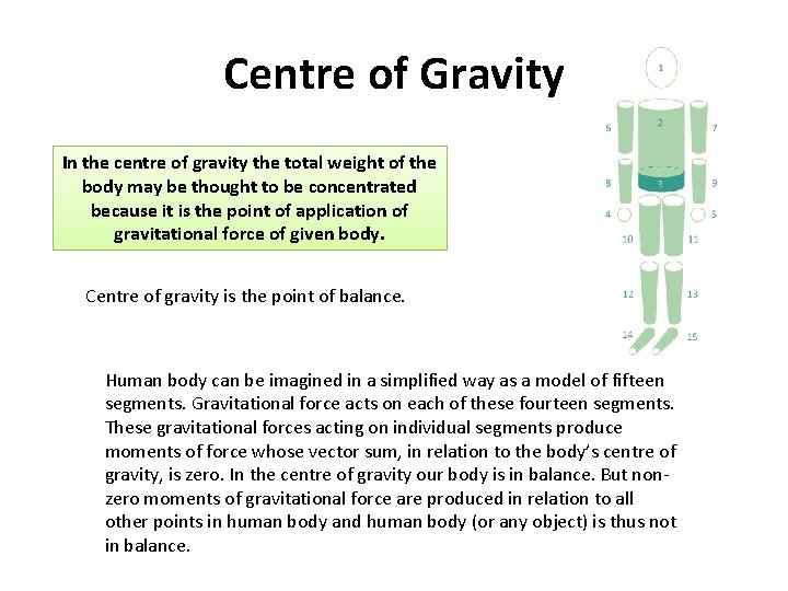 Centre of Gravity In the centre of gravity the total weight of the body