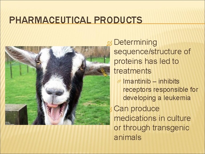 PHARMACEUTICAL PRODUCTS Determining sequence/structure of proteins has led to treatments Imantinib – inhibits receptors