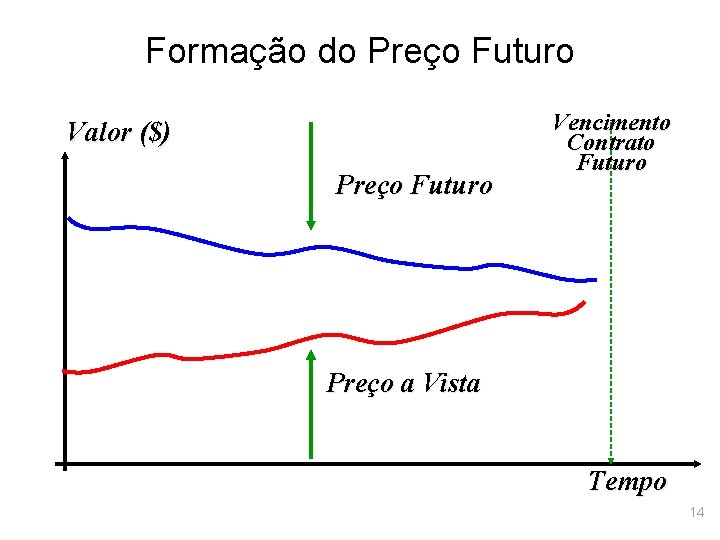 Formação do Preço Futuro Valor ($) Preço Futuro Vencimento Contrato Futuro Preço a Vista