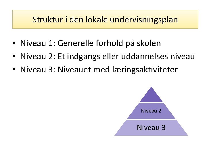 Struktur i den lokale undervisningsplan • Niveau 1: Generelle forhold på skolen • Niveau