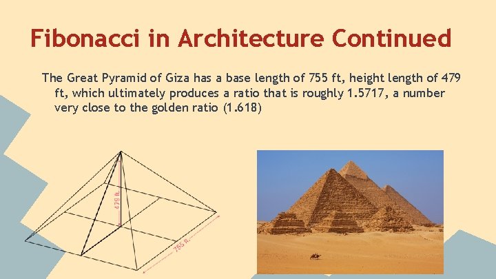 Fibonacci in Architecture Continued The Great Pyramid of Giza has a base length of