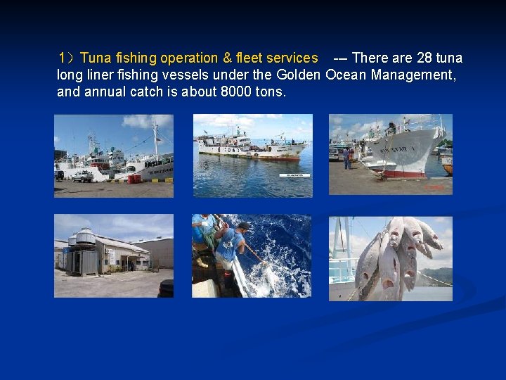 1)Tuna fishing operation & fleet services --- There are 28 tuna long liner fishing 1)Tuna fishing operation & fleet services --- There are 28 tuna long liner fishing