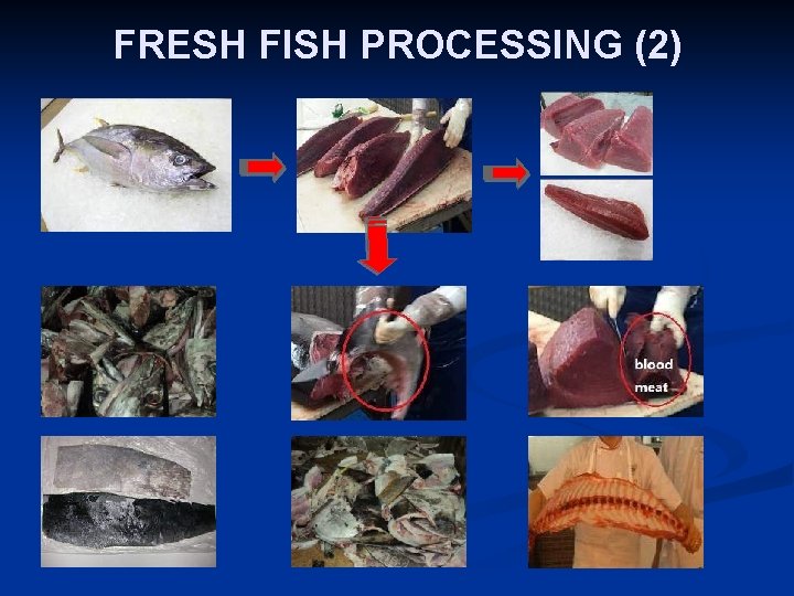 FRESH FISH PROCESSING (2)  FRESH FISH PROCESSING (2)