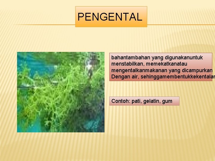 PENGENTAL bahantambahan yang digunakanuntuk menstabilkan, memekatkanatau mengentalkanmakanan yang dicampurkan Dengan air, sehinggamembentukkekentalan Contoh: pati, PENGENTAL bahantambahan yang digunakanuntuk menstabilkan, memekatkanatau mengentalkanmakanan yang dicampurkan Dengan air, sehinggamembentukkekentalan Contoh: pati,