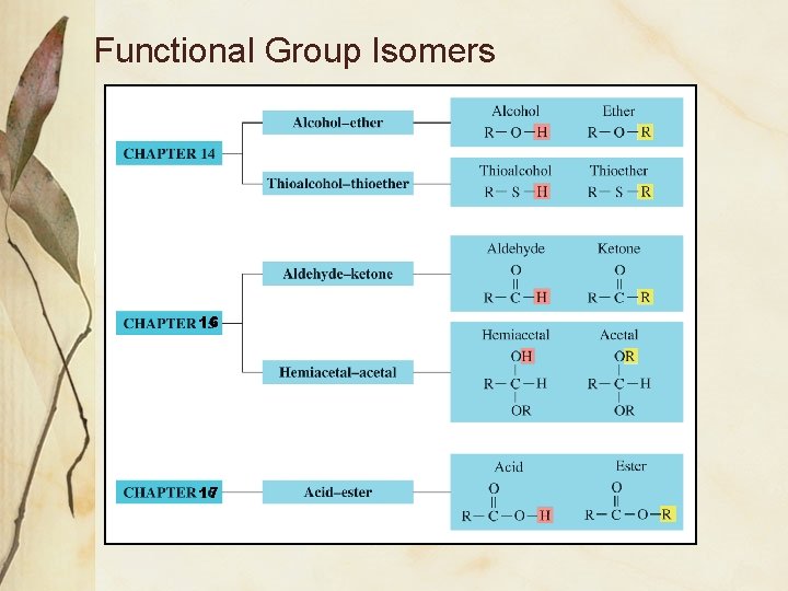 Functional Group Isomers 16 17 