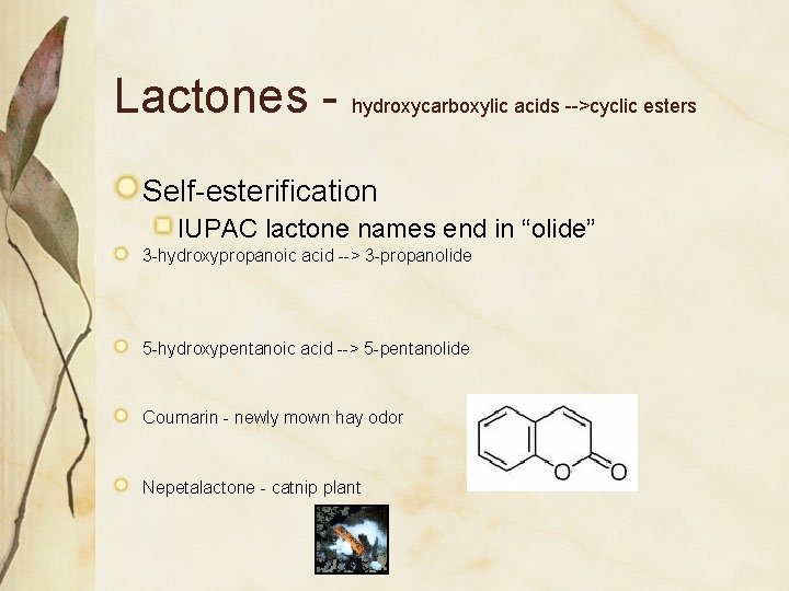 Lactones - hydroxycarboxylic acids -->cyclic esters Self-esterification IUPAC lactone names end in “olide” 3