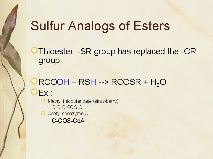 Sulfur Analogs of Esters Thioester: -SR group has replaced the -OR group RCOOH +