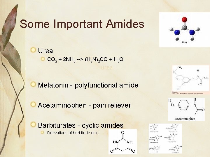 Some Important Amides Urea CO 2 + 2 NH 3 --> (H 2 N)2