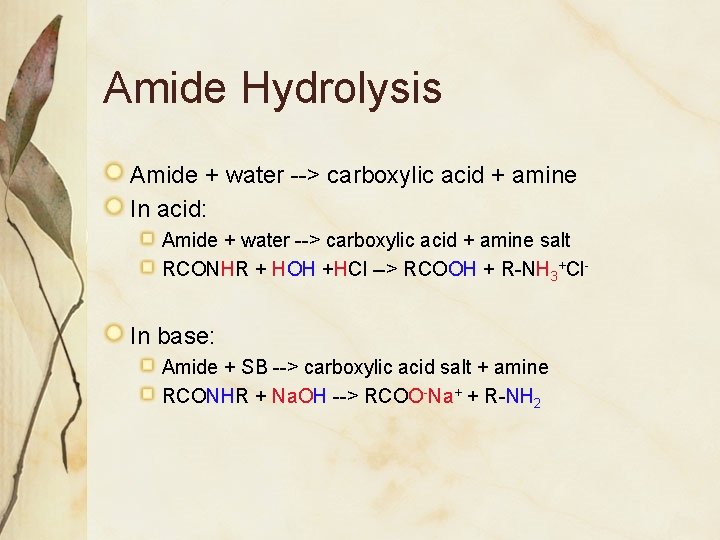 Amide Hydrolysis Amide + water --> carboxylic acid + amine In acid: Amide +