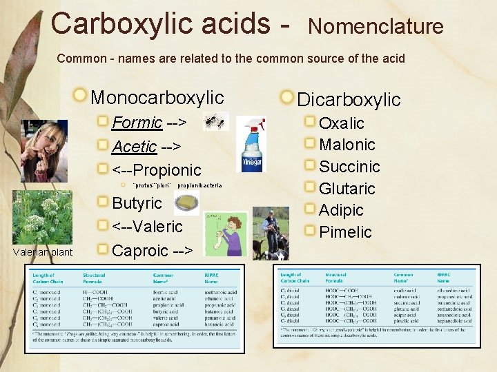 Carboxylic acids - Nomenclature Common - names are related to the common source of