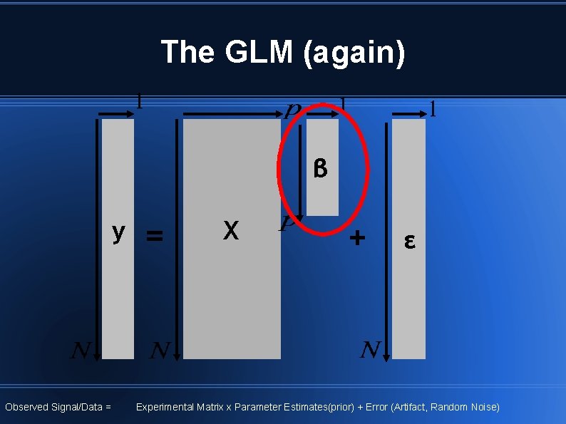 The GLM (again) β y Observed Signal/Data = = X + ε Experimental Matrix