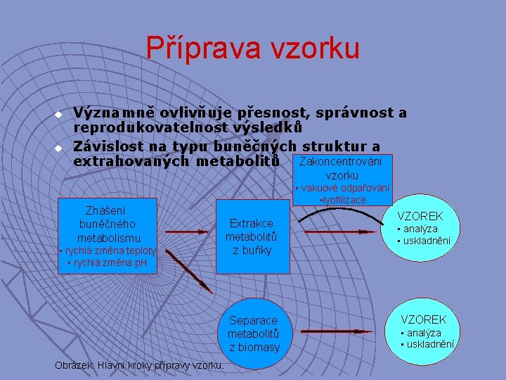 Příprava vzorku u u Významně ovlivňuje přesnost, správnost a reprodukovatelnost výsledků Závislost na typu