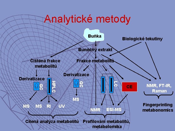 Analytické metody Buňka Biologické tekutiny Buněčný extrakt Frakce metabolitů Čištěná frakce metabolitů Derivatizace LC