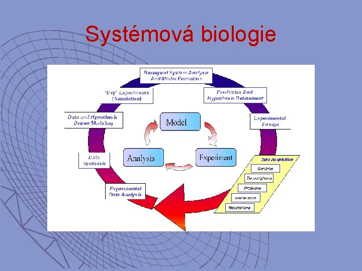 Systémová biologie 