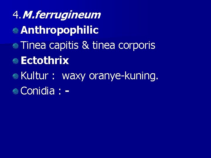 4. M. ferrugineum Anthropophilic Tinea capitis & tinea corporis Ectothrix Kultur : waxy oranye-kuning.