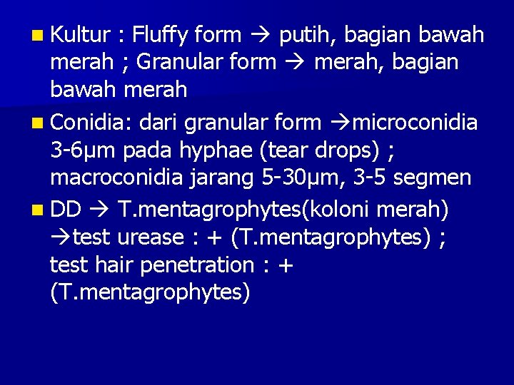 n Kultur : Fluffy form putih, bagian bawah merah ; Granular form merah, bagian